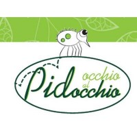 OCCHIO AL PIDOCHIO